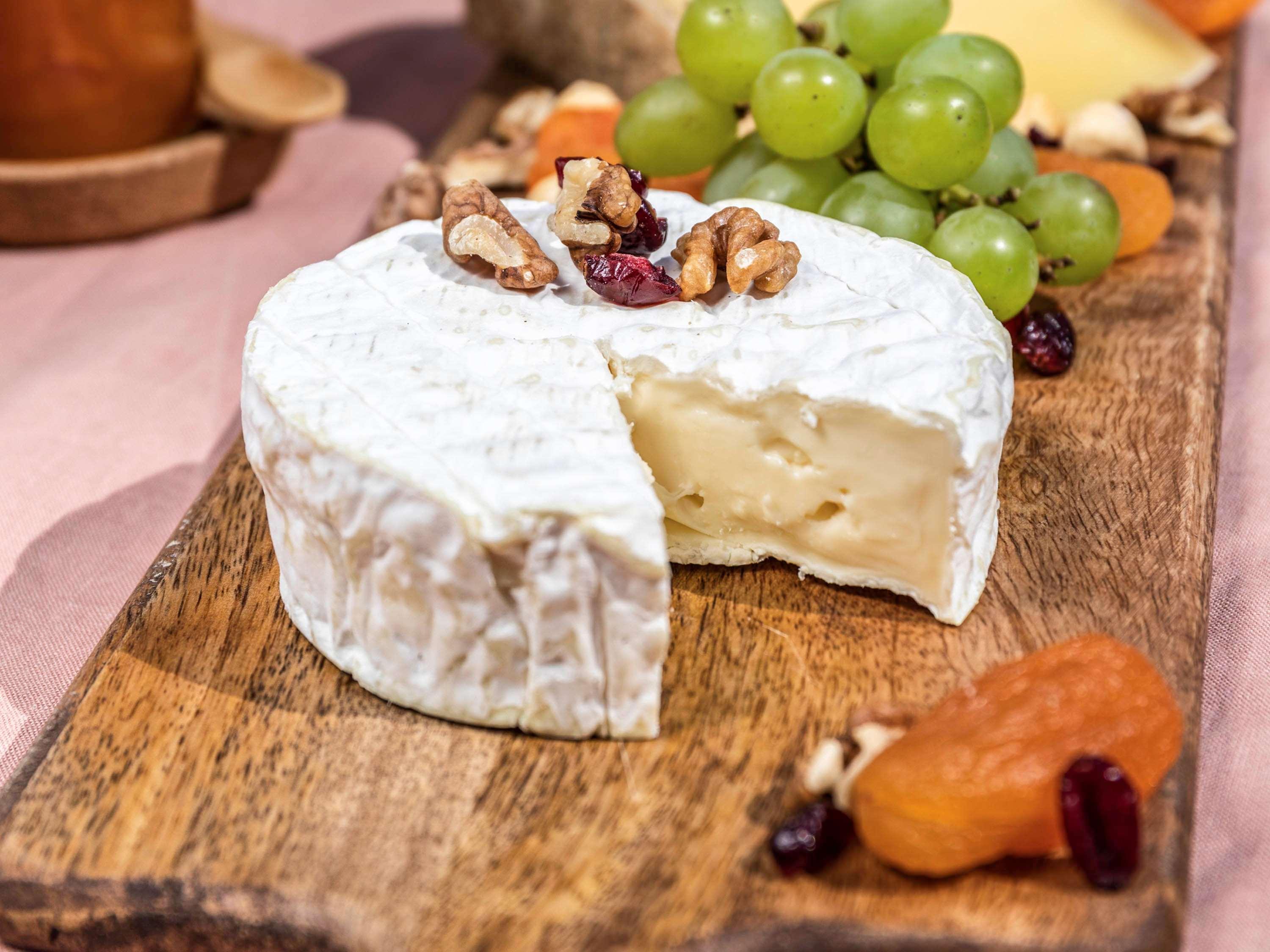 Novotel Chennai Sipcot ภายนอก รูปภาพ Camembert cheese
