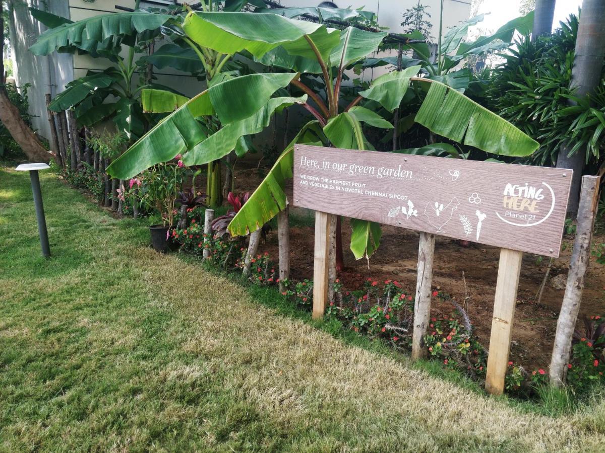 Novotel Chennai Sipcot ภายนอก รูปภาพ The Edible Garden at the National Gallery Singapore